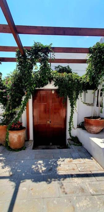 The Olive Tree Villa Lindos Exteriér fotografie